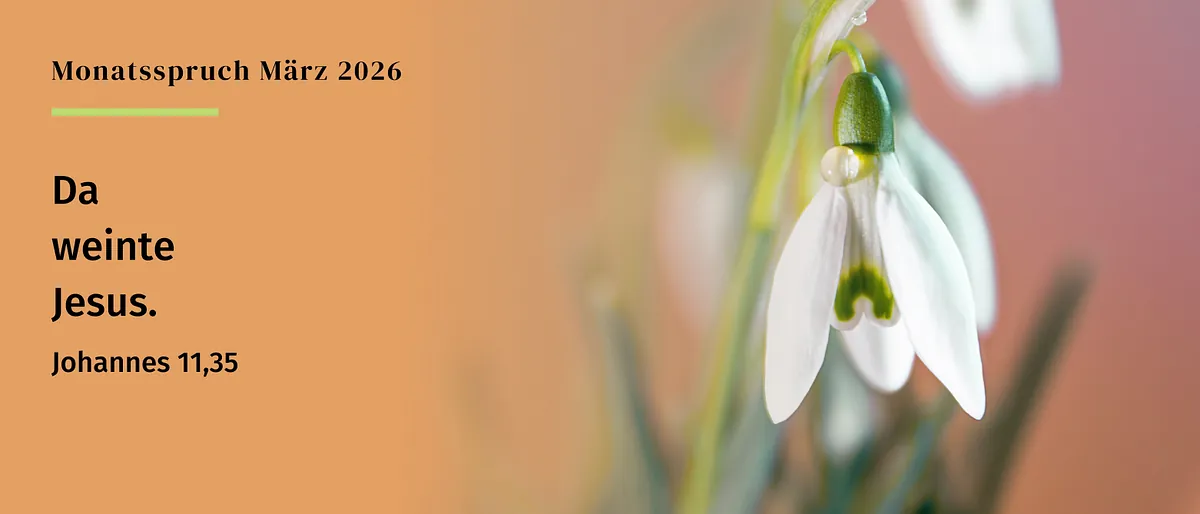 Monatsspruch 03/26